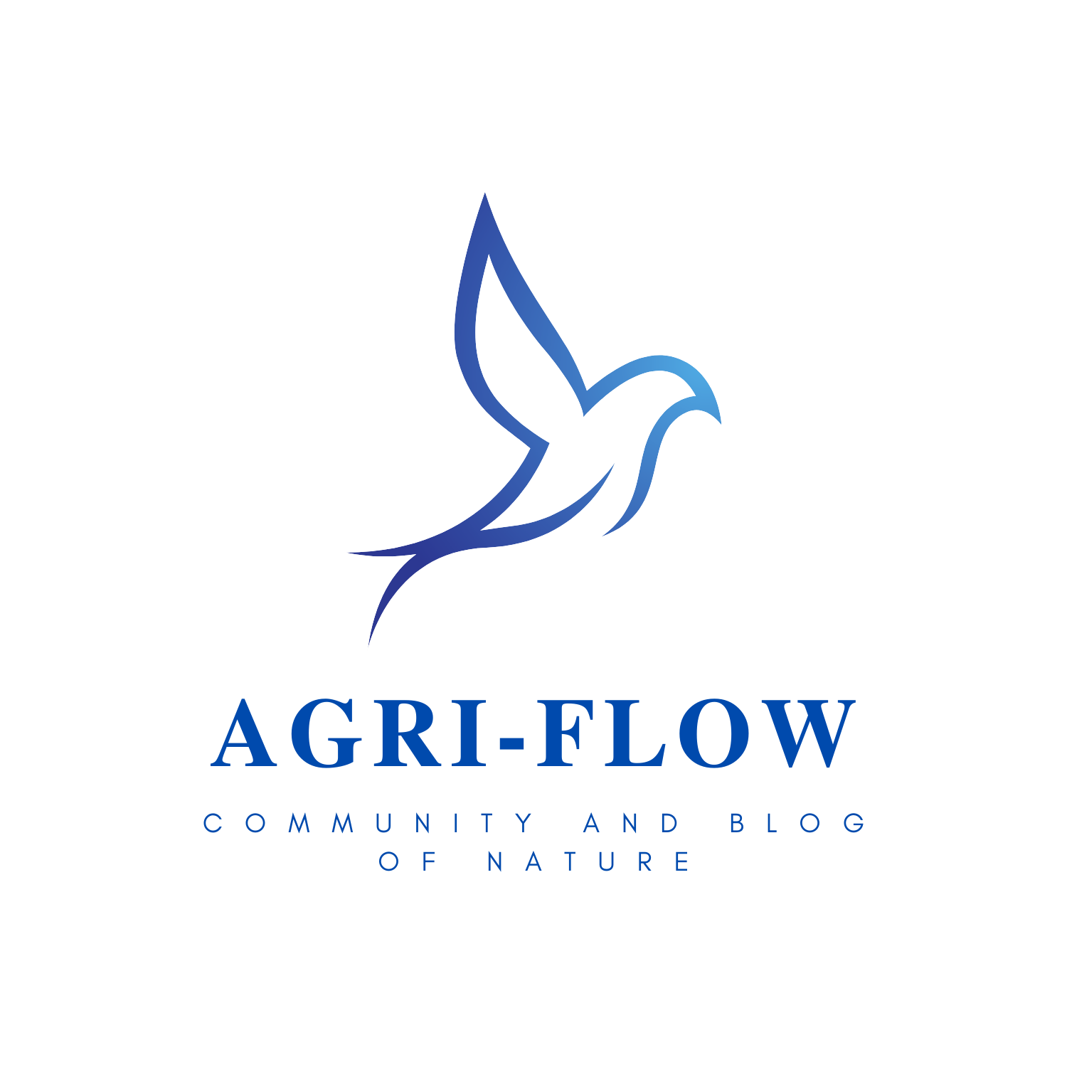 big-agri-flow-logo